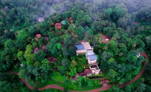 Disconnect to Reconnect — A 7-Day Immersive Nature Retreat