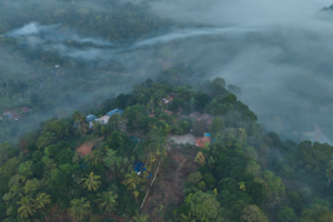 Indeevara AyurYoga Retreat – A Journey into Nature, Healing & Inner Peace